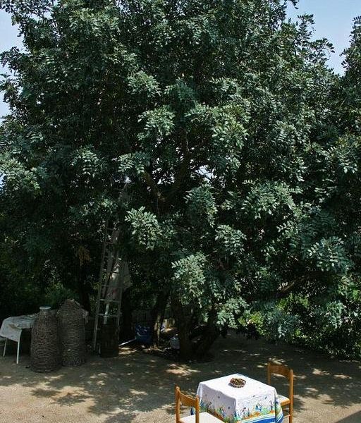 صورة الفندق 4