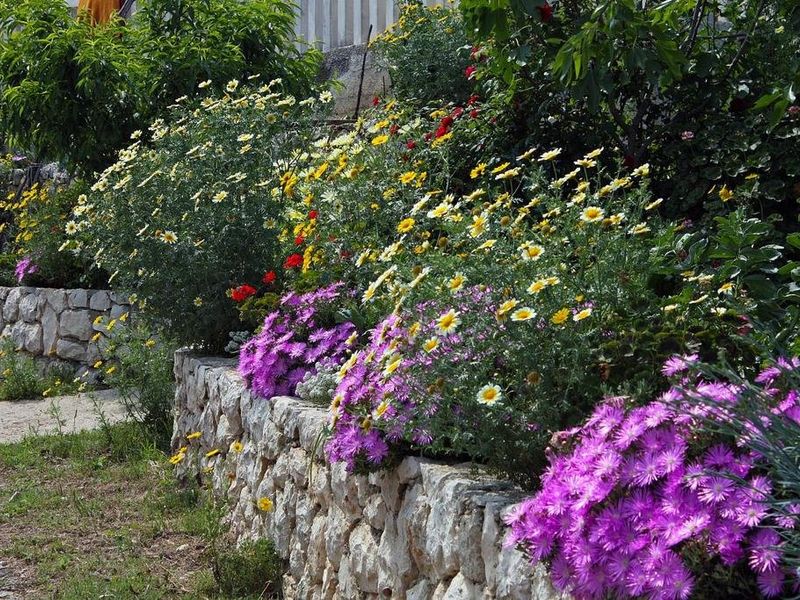 صورة الفندق 5