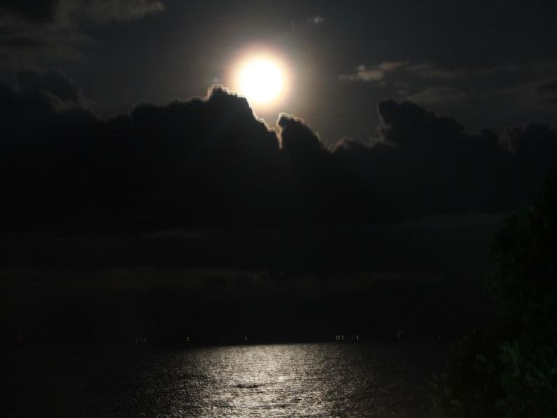 صورة الفندق 12
