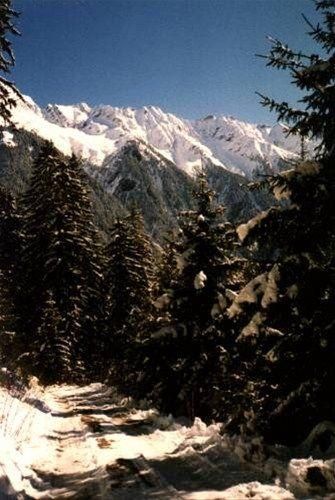صورة الفندق 20