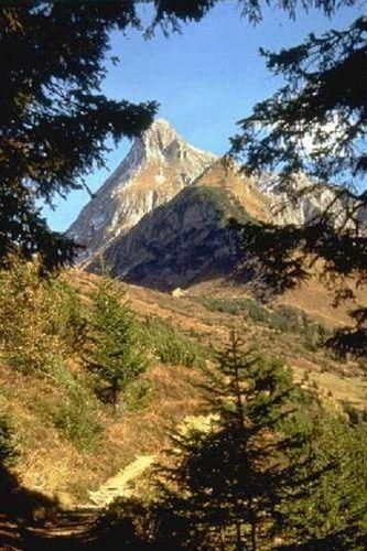 صورة الفندق 21