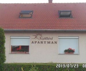 SZOELLOSI APARTMAN Sarvar Hungary