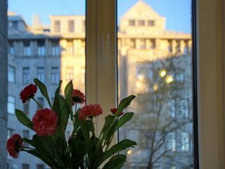 Рада мини-отель