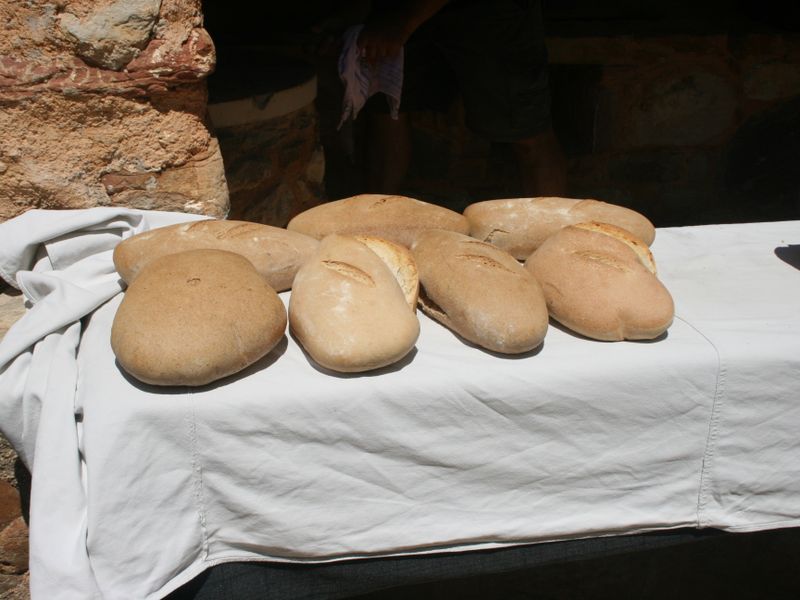 صورة الفندق 6