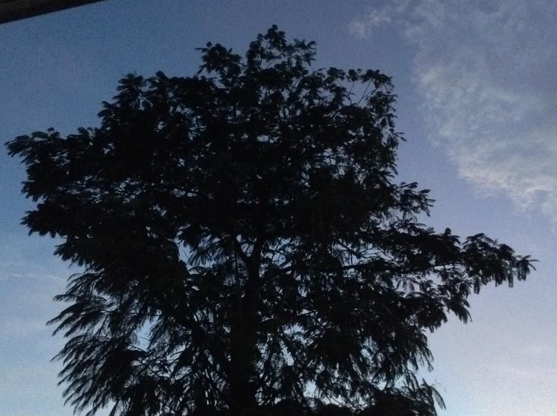 صورة الفندق 22