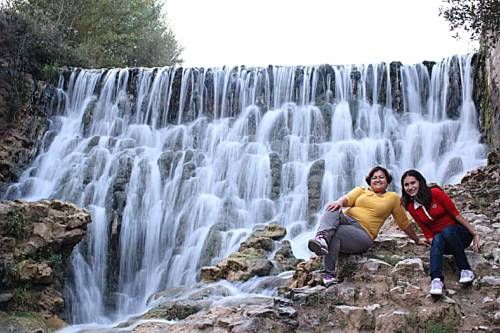 صورة الفندق 21