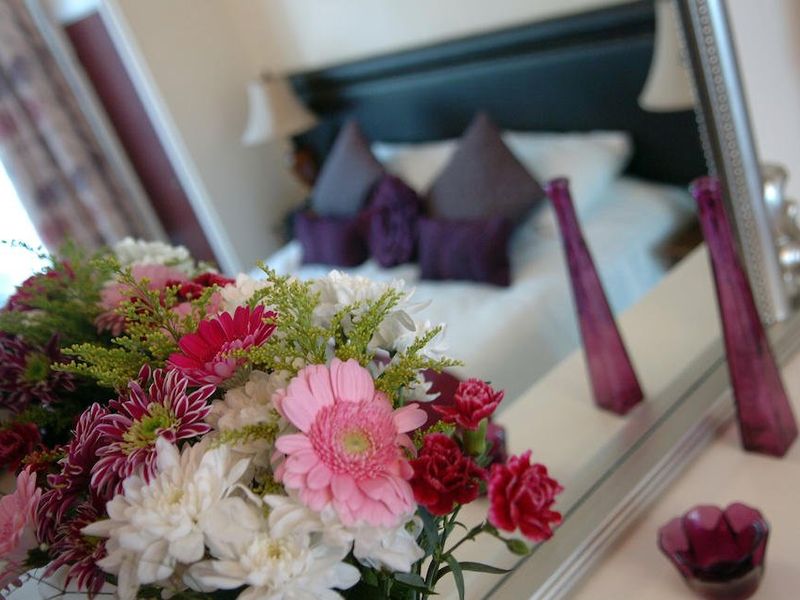 صورة الفندق 18