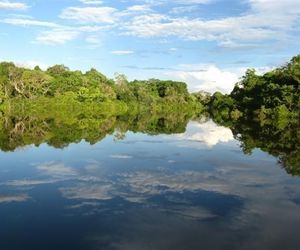 Reserva Heliconia Amazonas Leticia Colombia