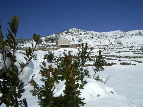صورة الفندق 17
