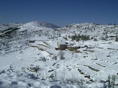صورة الفندق 18