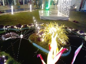 صورة الفندق 16