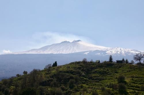 صورة الفندق 12