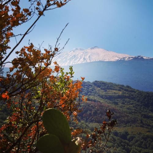 صورة الفندق 4
