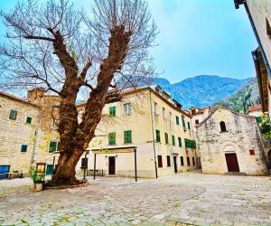 Tajami Apartments Kotor Montenegro