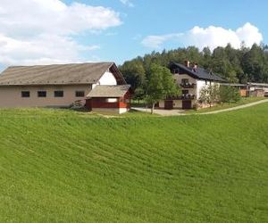 Apartment Vrtacnik Cerklje na Gorenjskem Slovenia