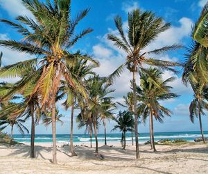 Be Live Experience Varadero Varadero Cuba