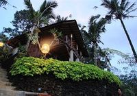 Отзывы DD Ubud Jungle Villa, 3 звезды