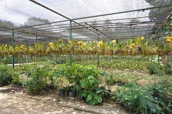 صورة الفندق 24