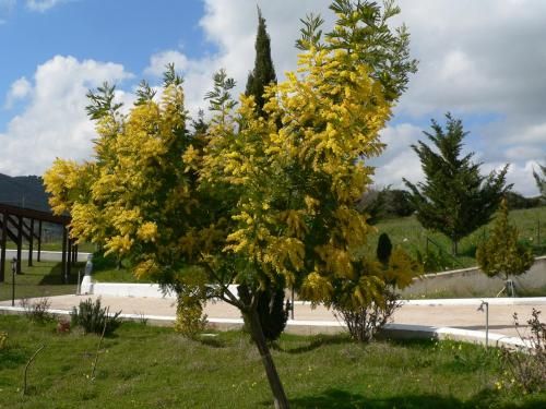صورة الفندق 19