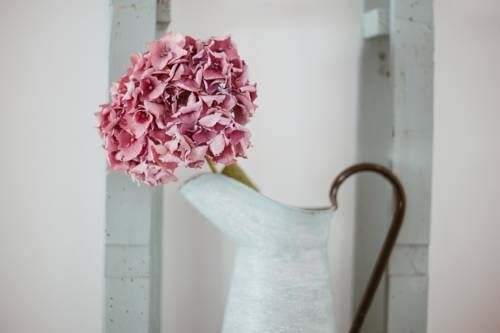 صورة الفندق 7