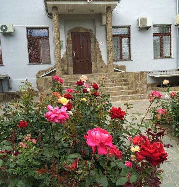 Hotel Photo 24