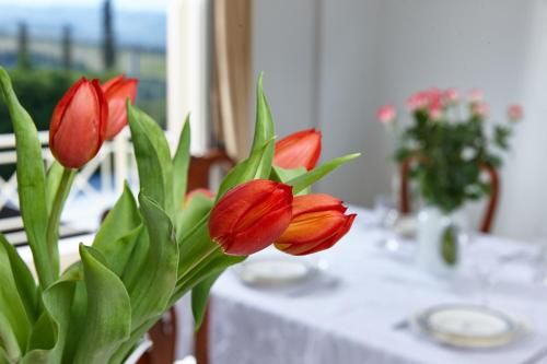 صورة الفندق 13