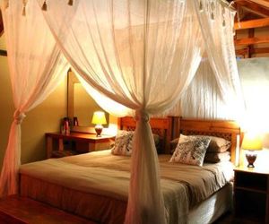 Lion Tree Top Lodge Mbabat South Africa