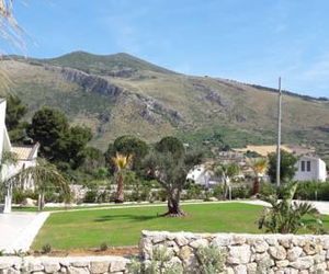 Eucalipto Castellammare del Golfo Italy