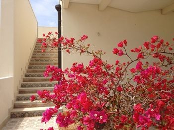 صورة الفندق 10