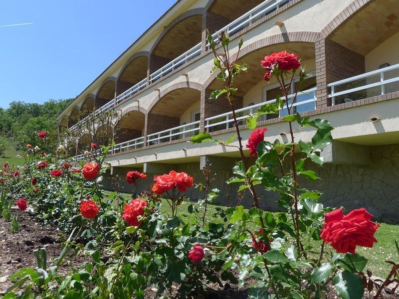 Hotel Photo 24