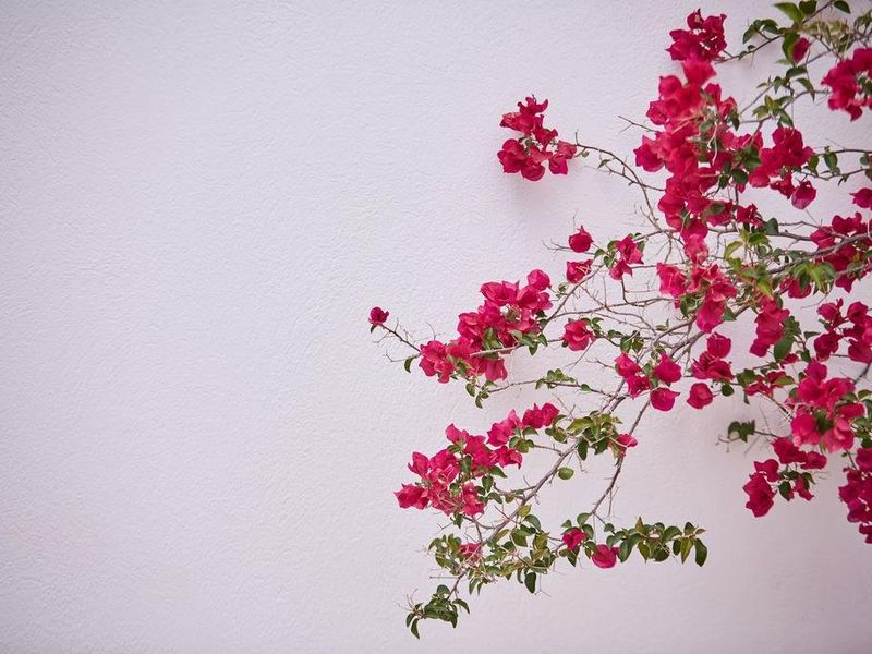 صورة الفندق 5