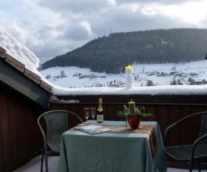 Schwarzwald-Ferienwohnungen Begert Baiersbronn Germany