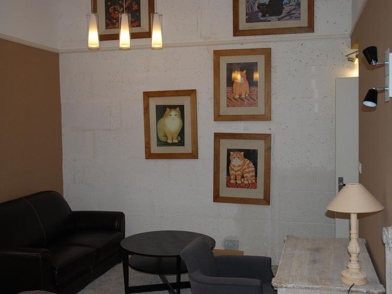 صورة الفندق 8