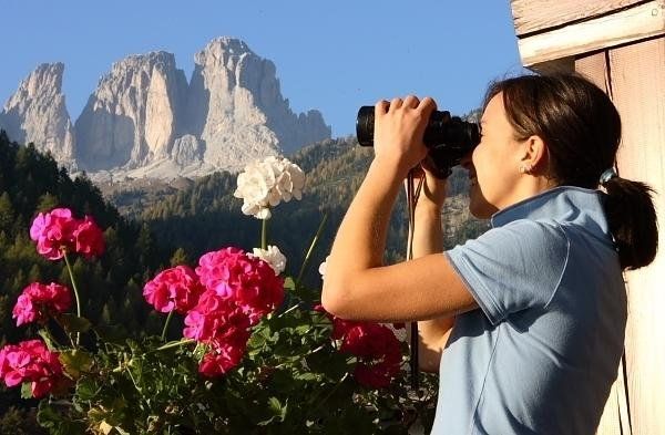صورة الفندق 20