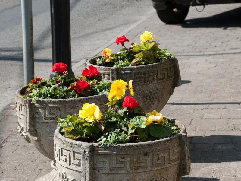 صورة الفندق 12