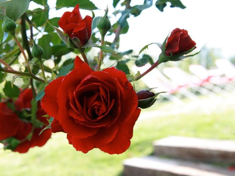 صورة الفندق 10