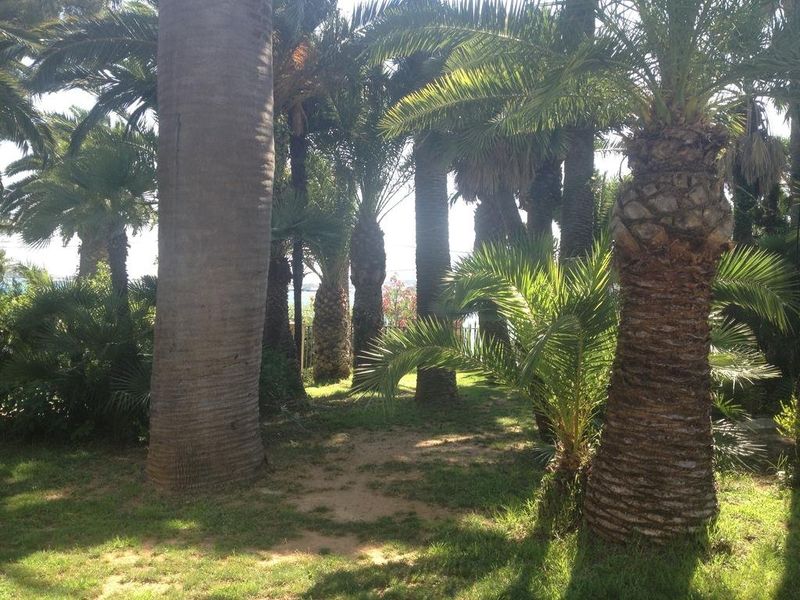 صورة الفندق 9