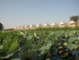 صورة الفندق 4
