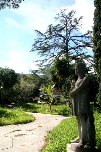 صورة الفندق 11