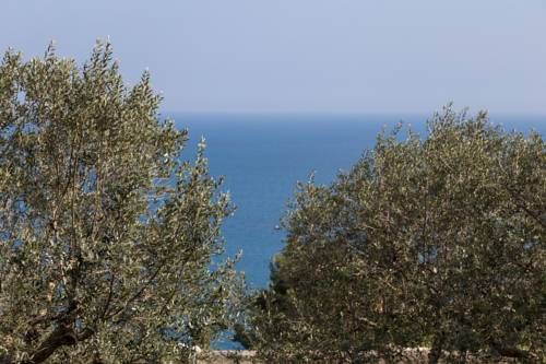 صورة الفندق 18