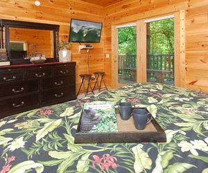 Cedar Forest Waldens Creek United States