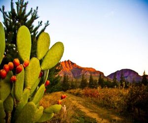 Modderkloof Farm Accommodation Paarl South Africa