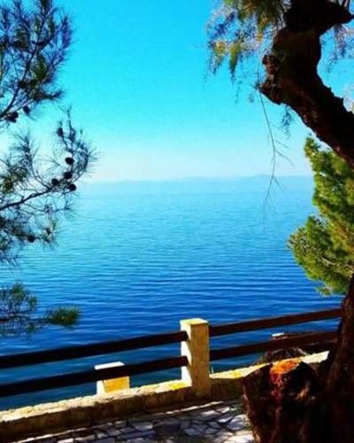 صورة الفندق 18