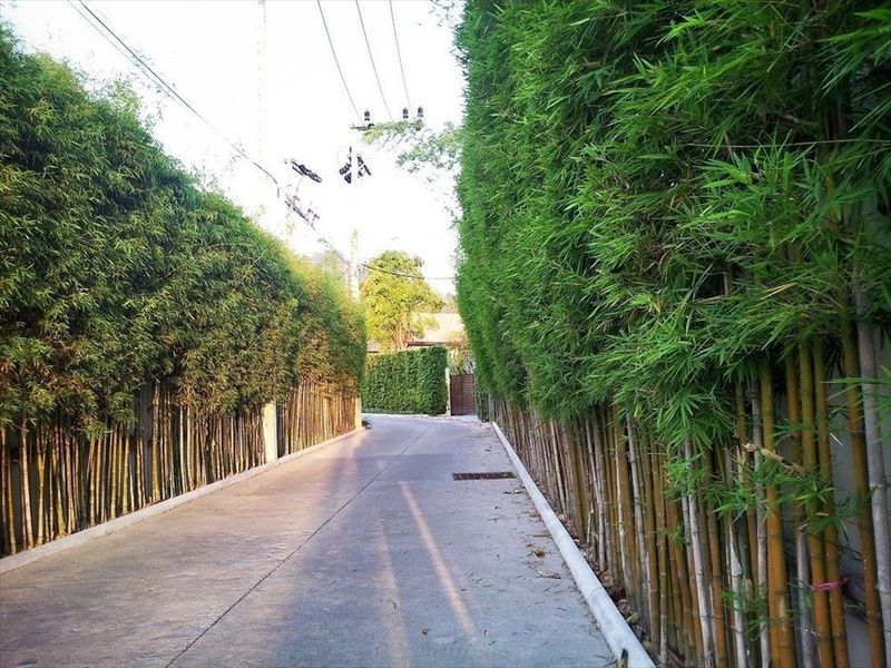 صورة الفندق 19