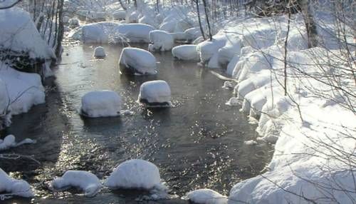صورة الفندق 19