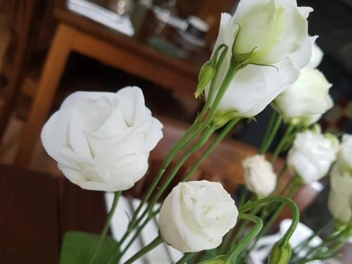 صورة الفندق 20