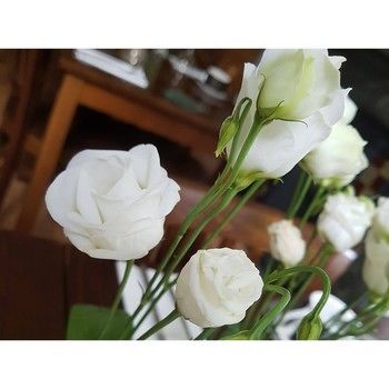 صورة الفندق 21