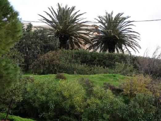 صورة الفندق 20