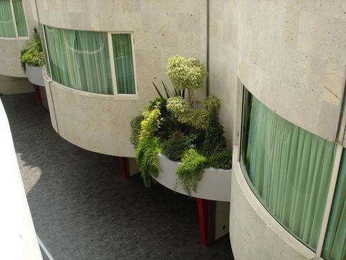 صورة الفندق 22
