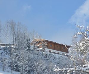 Bergchalet Alpenrose Emberg Austria